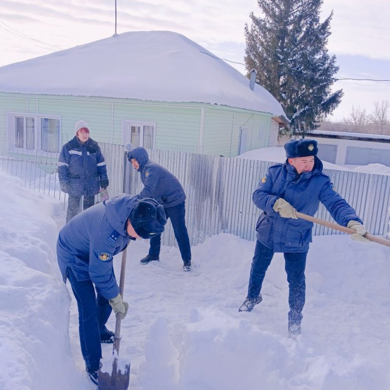 Сотрудники УИС почистили снег во дворах у пенсионеров