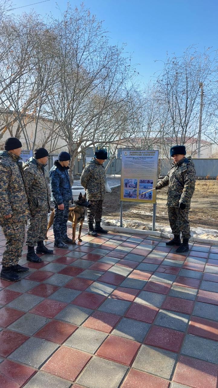 Қызметтік иттер оқу-жаттығудан өтті