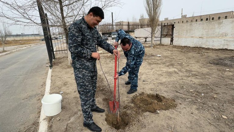 Ағаш отырғызудан жалпыұлттық акциясы ұйымдастырылды