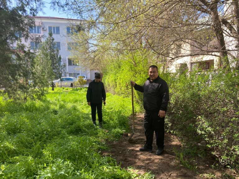 Түркістандық пробация қызметкерлері «Таза Қазақстан» экологиялық акциясына белсенді атсалысуда