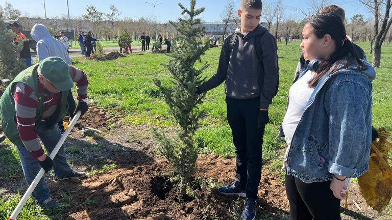 Более 90 тысяч саженцев посадят  в городах и районах Карагандинской области