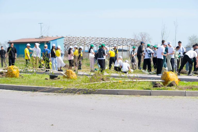 «Твори добро»: у жителей областного центра Алматинской области появилась аллея волонтеров