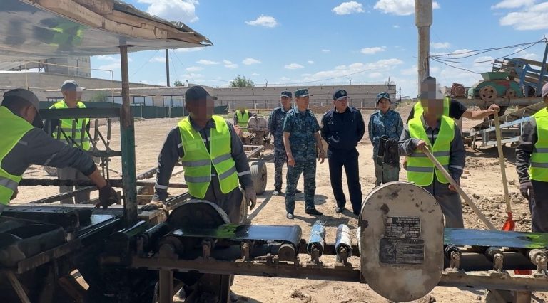 300 жазасын өтеуші жұмыспен қамтылған