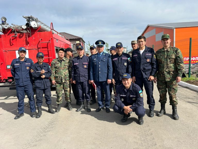 Взаимодействие с ДЧС