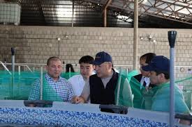 «Ауыл аманаты» – драйвер развития страны