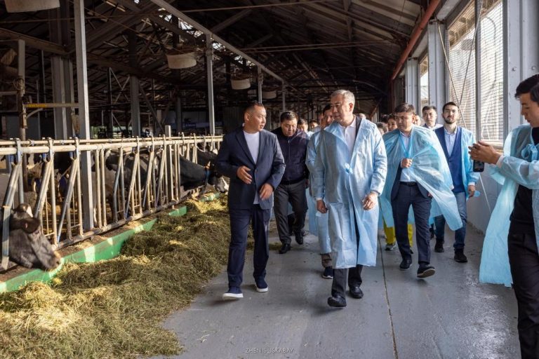 Господдержка в действии