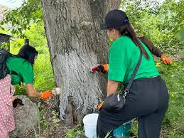 Добрых дел много не бывает