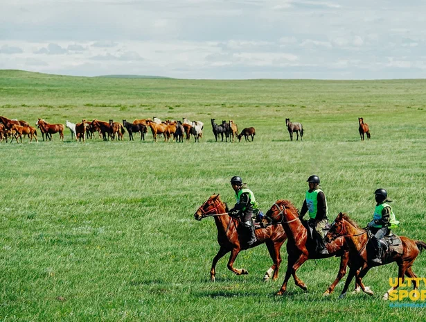 Ұлы дала жорығы» халықаралық марафон-бәйгесінде 10-нан астам елден келетін шабандоздар 500 шақырымға жарысады