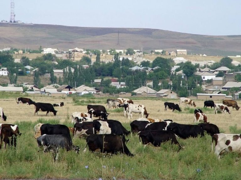 ЭКОНОМИКАЛЫҚ ҮШ БЕЛЕС – ИННОВАЦИЯ, БӘСЕКЕ, ИНВЕСТИЦИЯ