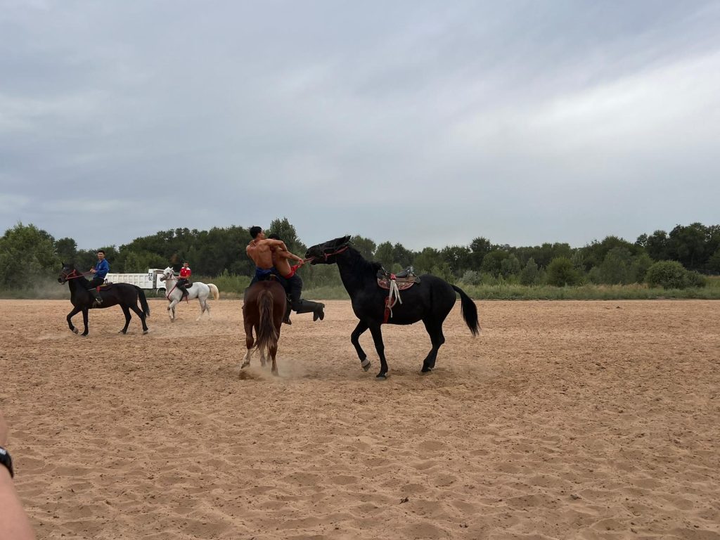 Анамның кискасындағы сперманы қараңыз