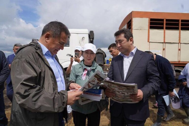 ЗА НОВИНКАМИ – НА ДЕНЬ ПОЛЯ