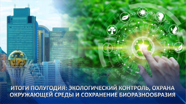 Итоги полугодия: экологический контроль, охрана окружающей среды и сохранение биоразнообразия