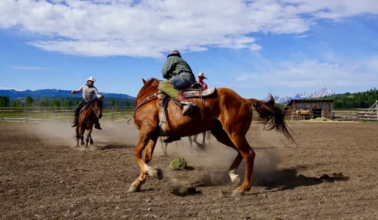 Америкалық көкпаршының ерекше жаттығуы қазақстандықтарды таңқалдырды