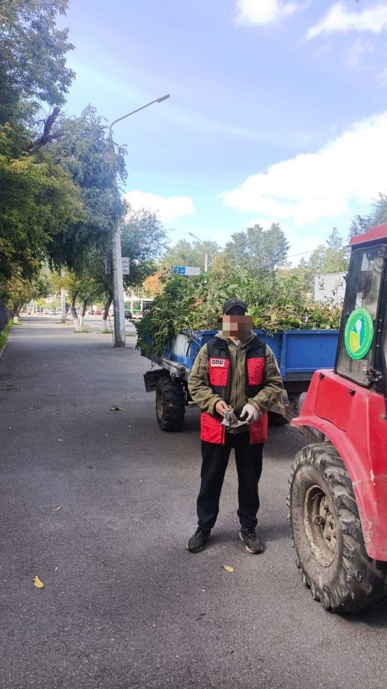 Қоғамдық жұмыстар сотталушының құқықтары ең төменгі дәрежеде шектелетін жазаның тиімді түрі