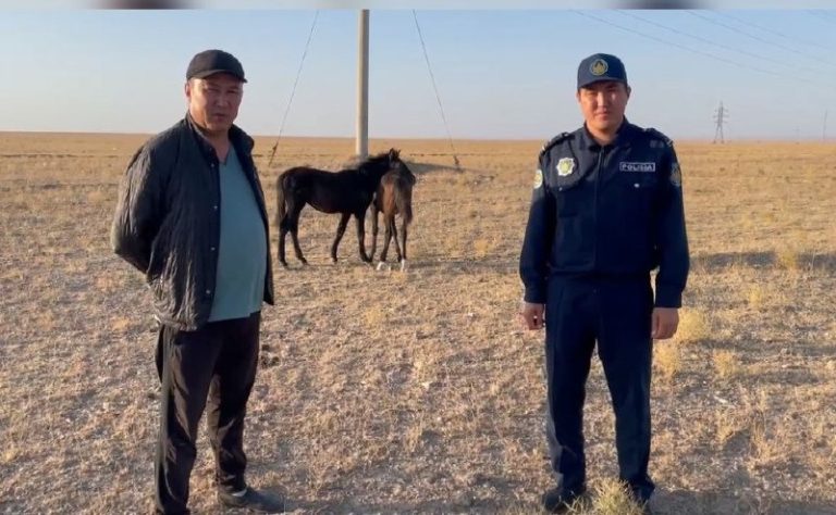 УЧАСКЕЛІК ПОЛИЦИЯ ИНСПЕКТОРЫ ТҰРҒЫННЫҢ ЖОҒАЛҒАН ЖЫЛҚЫЛАРЫН ТАУЫП БЕРДІ