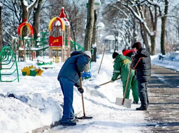 «Участок» жедел-профилактикалық іс-шарасы