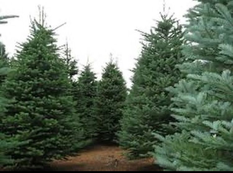 “ШЫРША” РЕСПУБЛИКАЛЫҚ ЖЕДЕЛ-ПРОФИЛАКТИКАЛЫҚ АЛДЫН АЛУ ІС-ШАРАСЫ