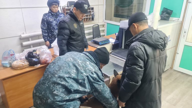 В колониях Алматинской области и области Жетісу проведены обысковые работы