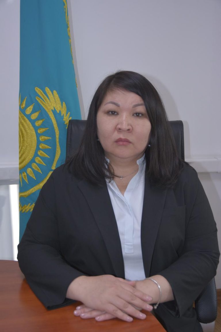 Әрекеттегі Меритократия