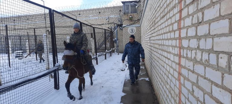 Мекемеде жылқының көмегімен тексеру іс-шаралары қолға алынды