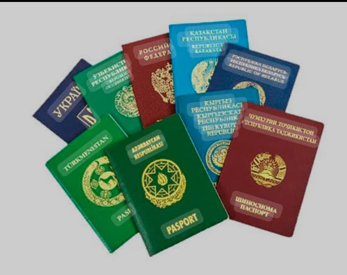 Көші-қон заңнамасын бұзған шетел азаматтары жауапкершілікке тартылды