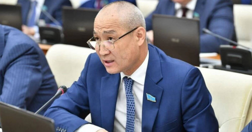 Ішкі саясатқа сыртқы күштерді араластырмау керек — депутат