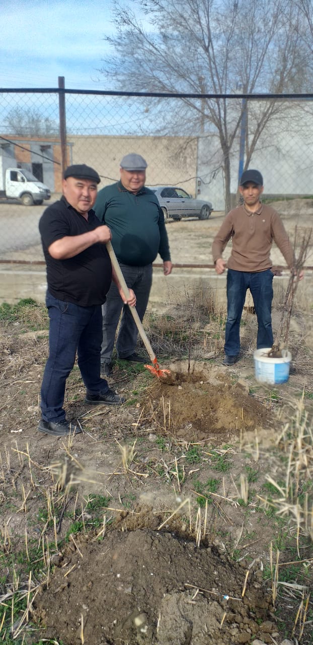 Тылмен қамтамасыз ету бөлімінің қызметкерлері мекеме аумағына ағаш отырғызу шарасын ұйымдастырды