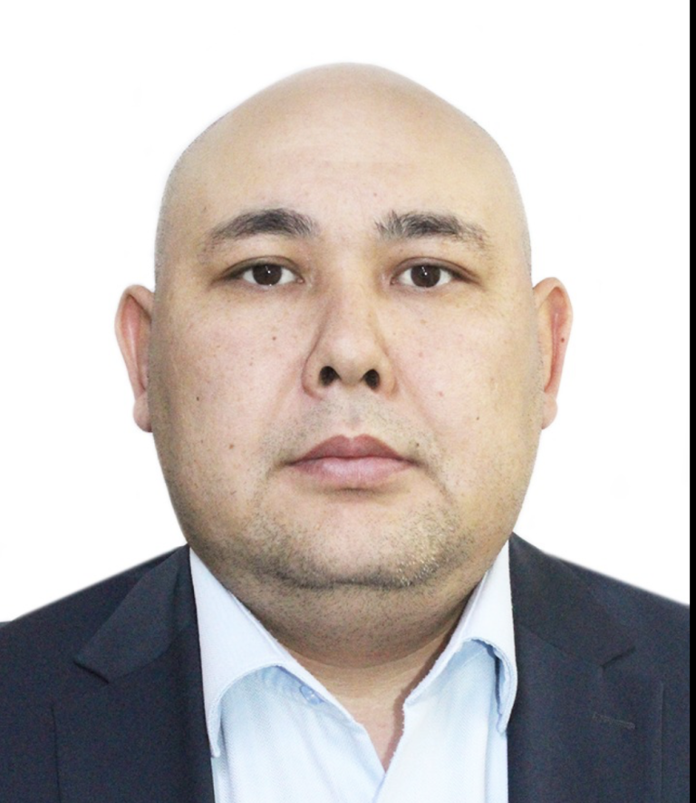 Жүйе жұмысындағы жасанды интеллектінің маңызы