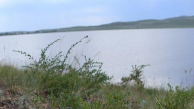 Туризмге тың серпін: Қарағанды облысындағы Семізбұғы көлінде демалыс аймағы мен шипажай салу жоспарлануда