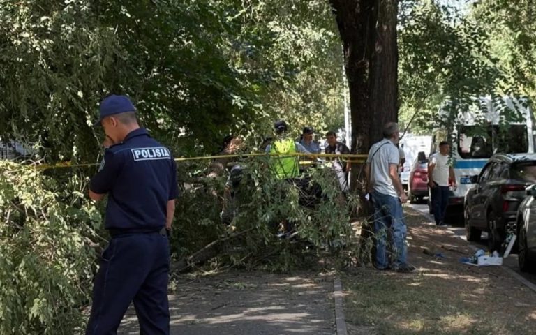 Упавшая ветка унесла жизнь молодой женщины 