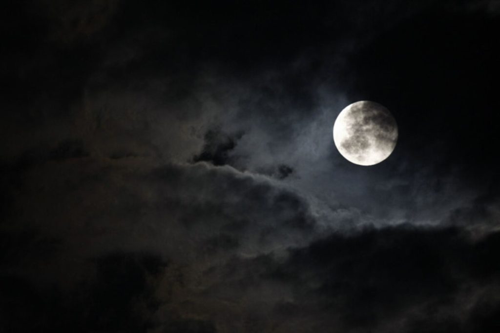 Қабанмен жыныстық қатынас