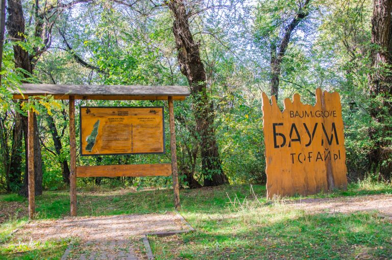 Тотальная вырубка – в чьих интересах?