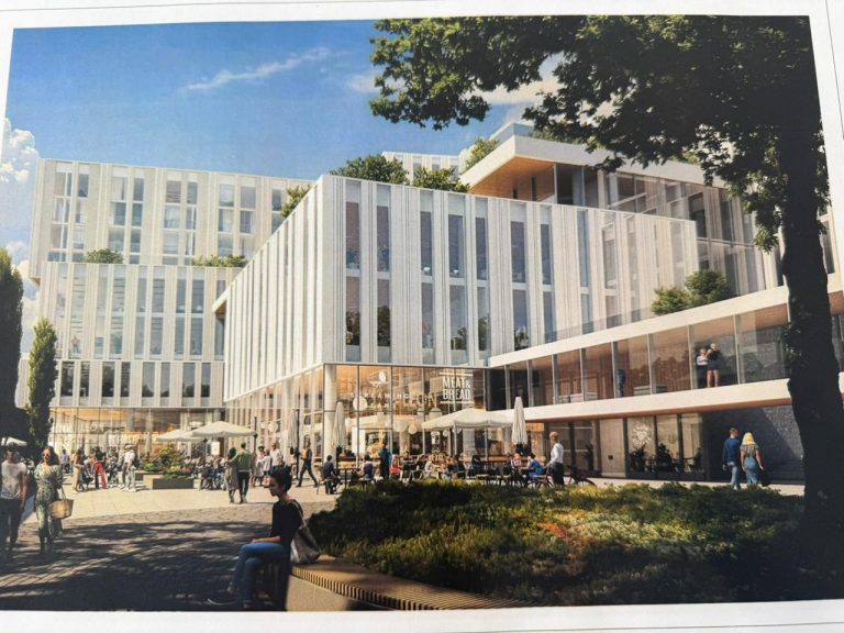 Стройка раздора: что на самом деле строят в Академгородке?