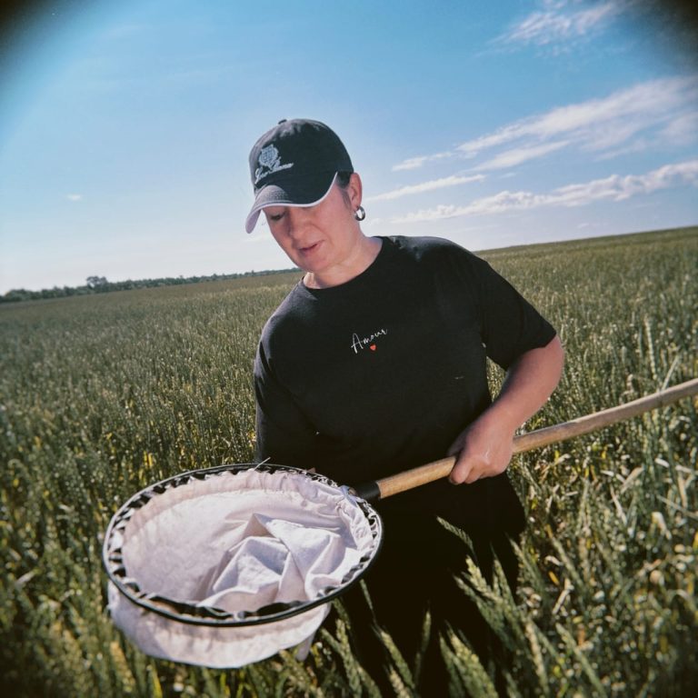 Фитосанитарный мониторинг как инструмент сохранения урожайности яровой пшеницы