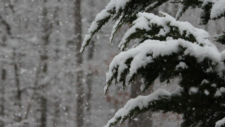 Тұман, боран, көктайғақ: 15 өңірде дауылды ескерту жарияланды