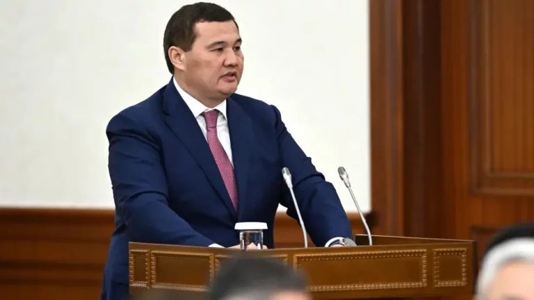 Тоқаев Қызылорда облысы әкімін мақтады