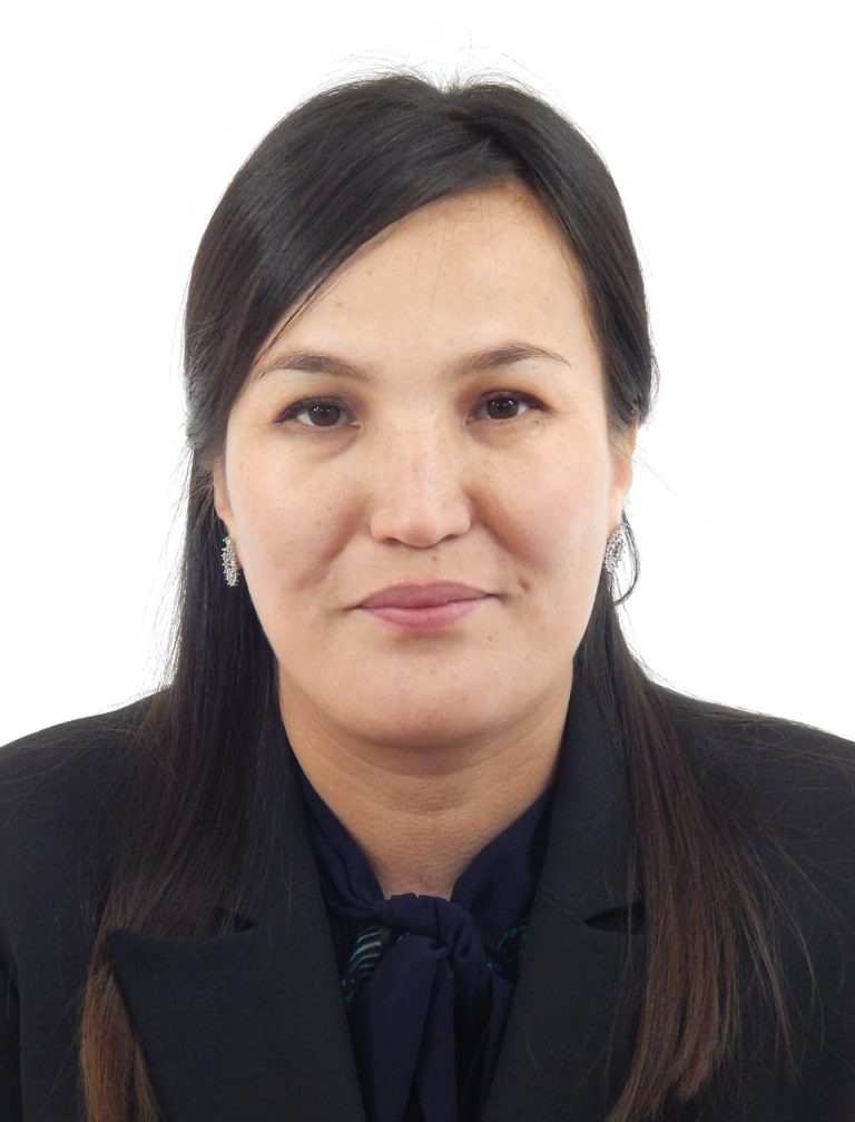 Применение информационных технологий в судебной системе: роль цифровых сервисов и значение «Судебного кабинета»