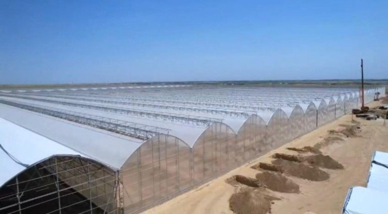 Стратегический прорыв в АПК