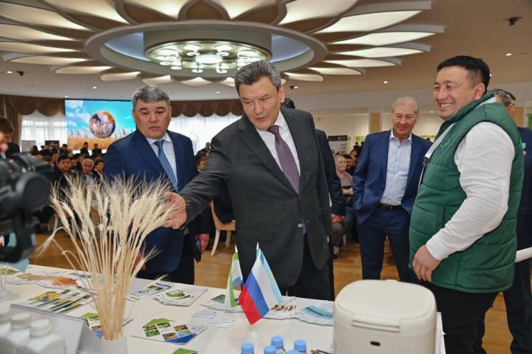 Урожай идей и возможностей 