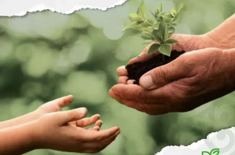 Концепция «Таза Қазақстан» в действии 