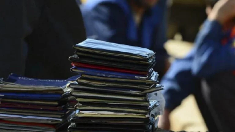 Қазақстанда көші-қон заңын бұзған 1 200 адам елден шығарылады 