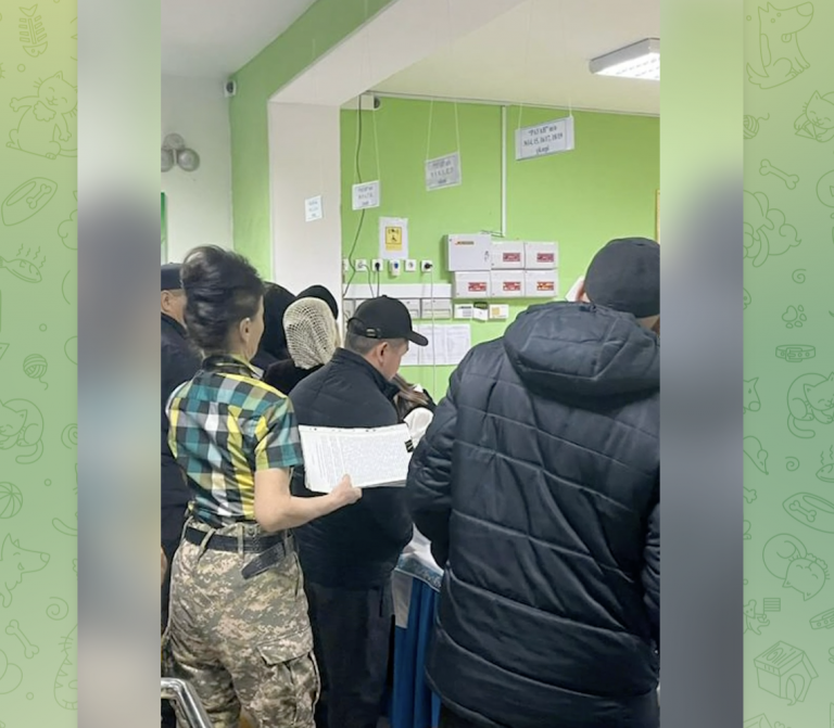 Референдум-2026: на участках для голосования по всему Казахстану фиксируются очереди