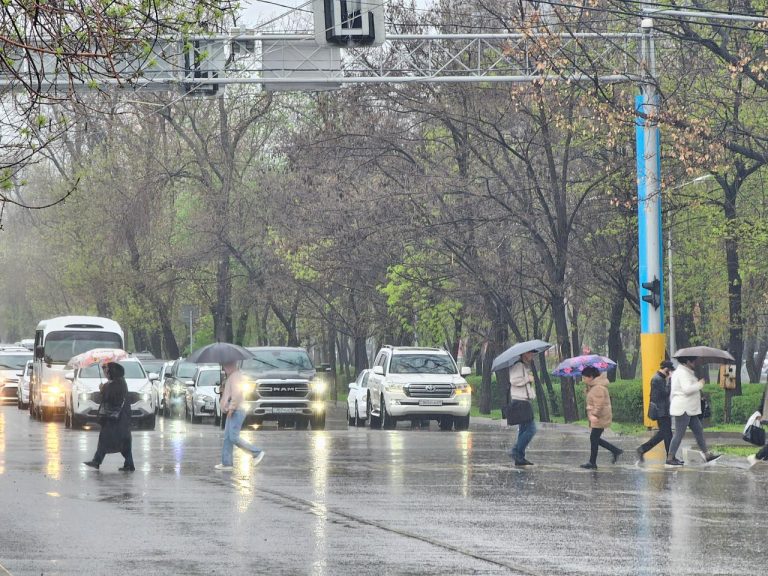 Қазақстанның 17 облысына дауылды ескерту жарияланды