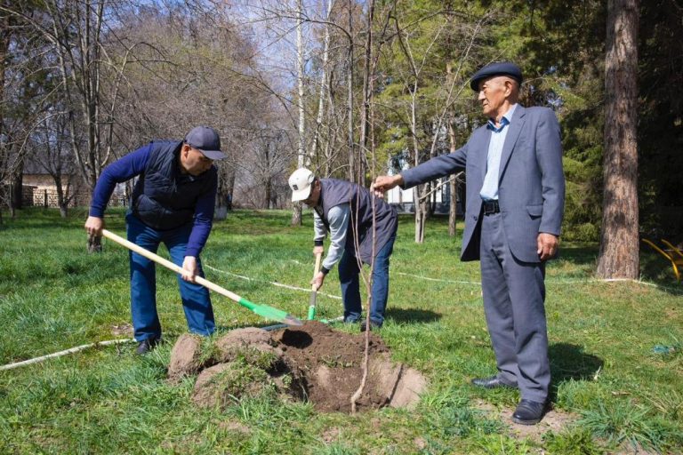Памяти акына