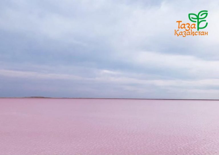 Мемлекет басшысы Көбейтұз көлінің жай-күйіне назар аударды
