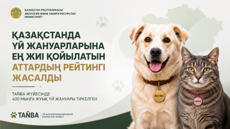 Қазақстанда үй жануарларына ең жиі қойылатын аттардың рейтингі жасалды